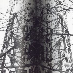 ADIEU A X - 画像 (3)