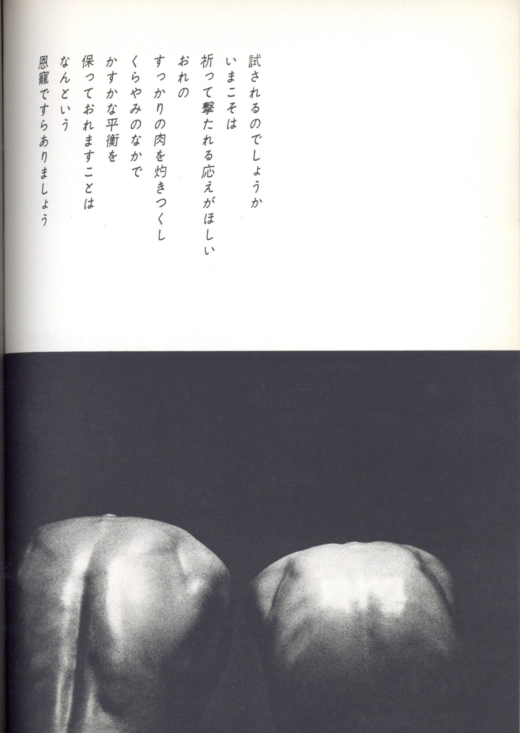 おとこと女 - 画像 (6)