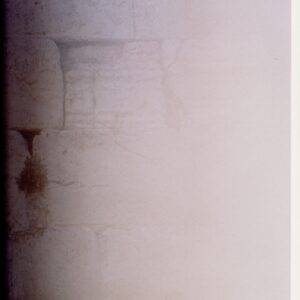 照度　あめつち　影を見る - 画像 (3)