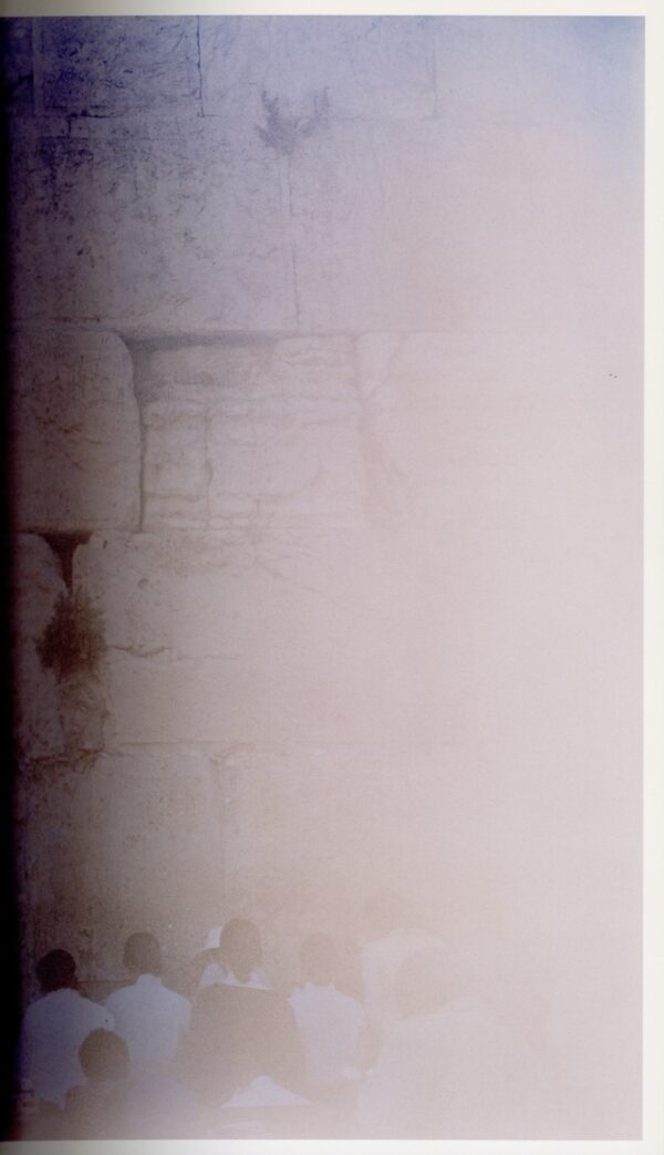 照度　あめつち　影を見る