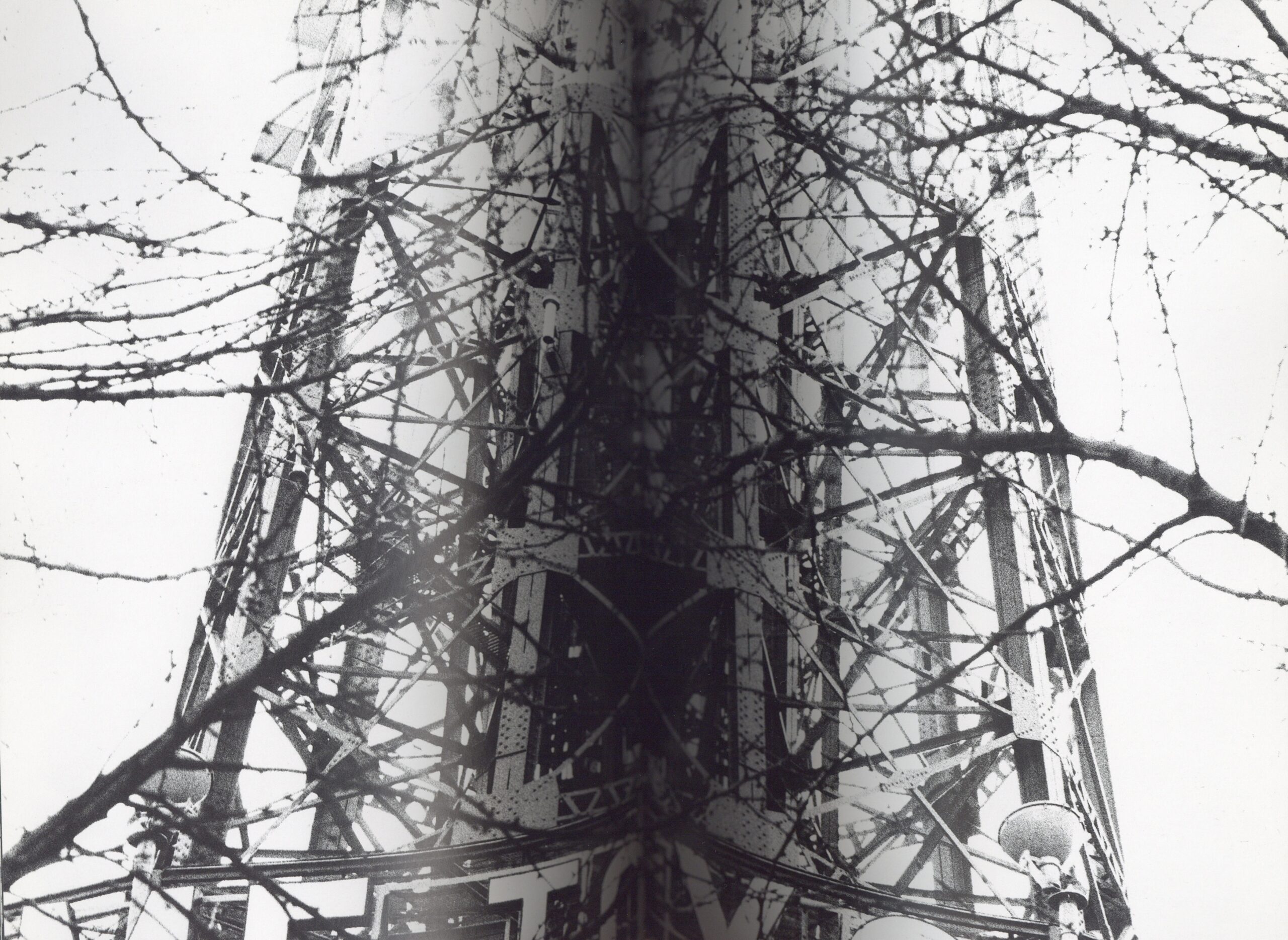 ADIEU A X - 画像 (3)