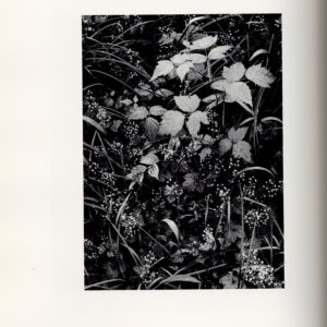 The Portfolios of Ansel Adams - 画像 (2)