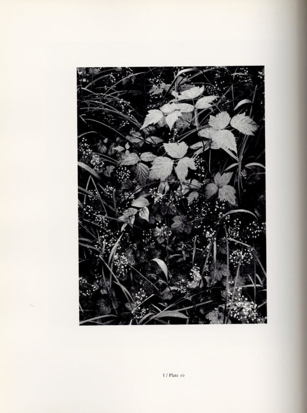 The Portfolios of Ansel Adams