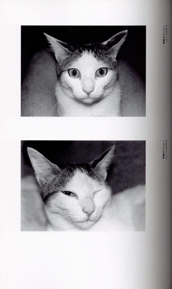 荒木経惟、写真に生きる