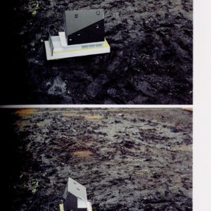 『署名入』TOKYO - 画像 (4)