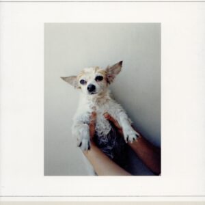 『署名入』TOKYO - 画像 (1)