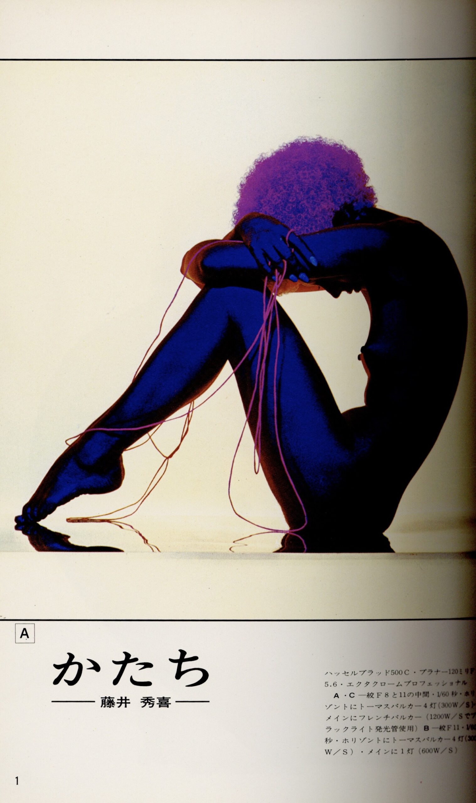 日本カメラ増刊　美しいヌード - 画像 (2)