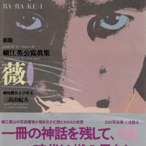 薔薇刑　新版 - 画像 (1)