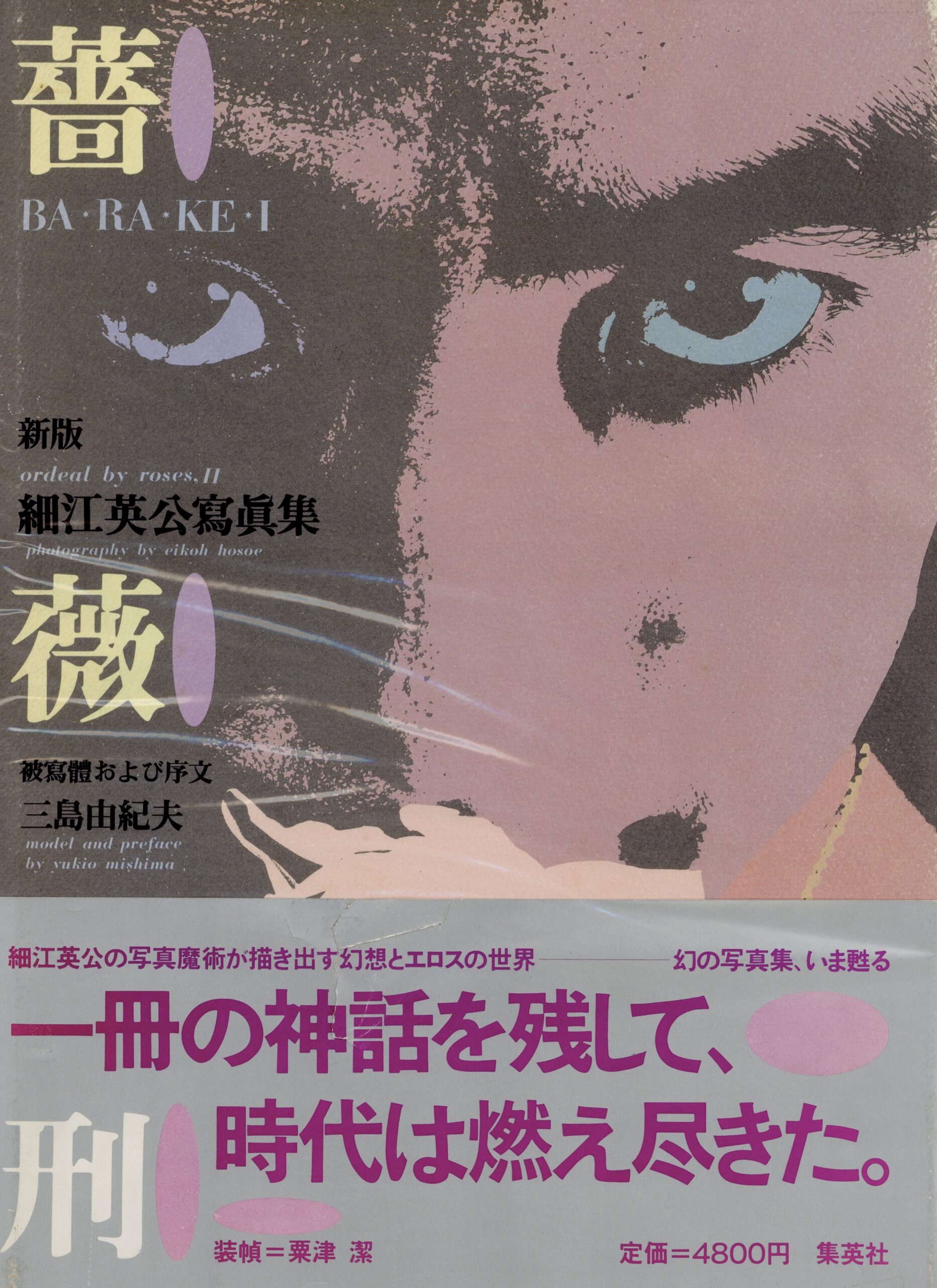 薔薇刑　新版 - 画像 (1)