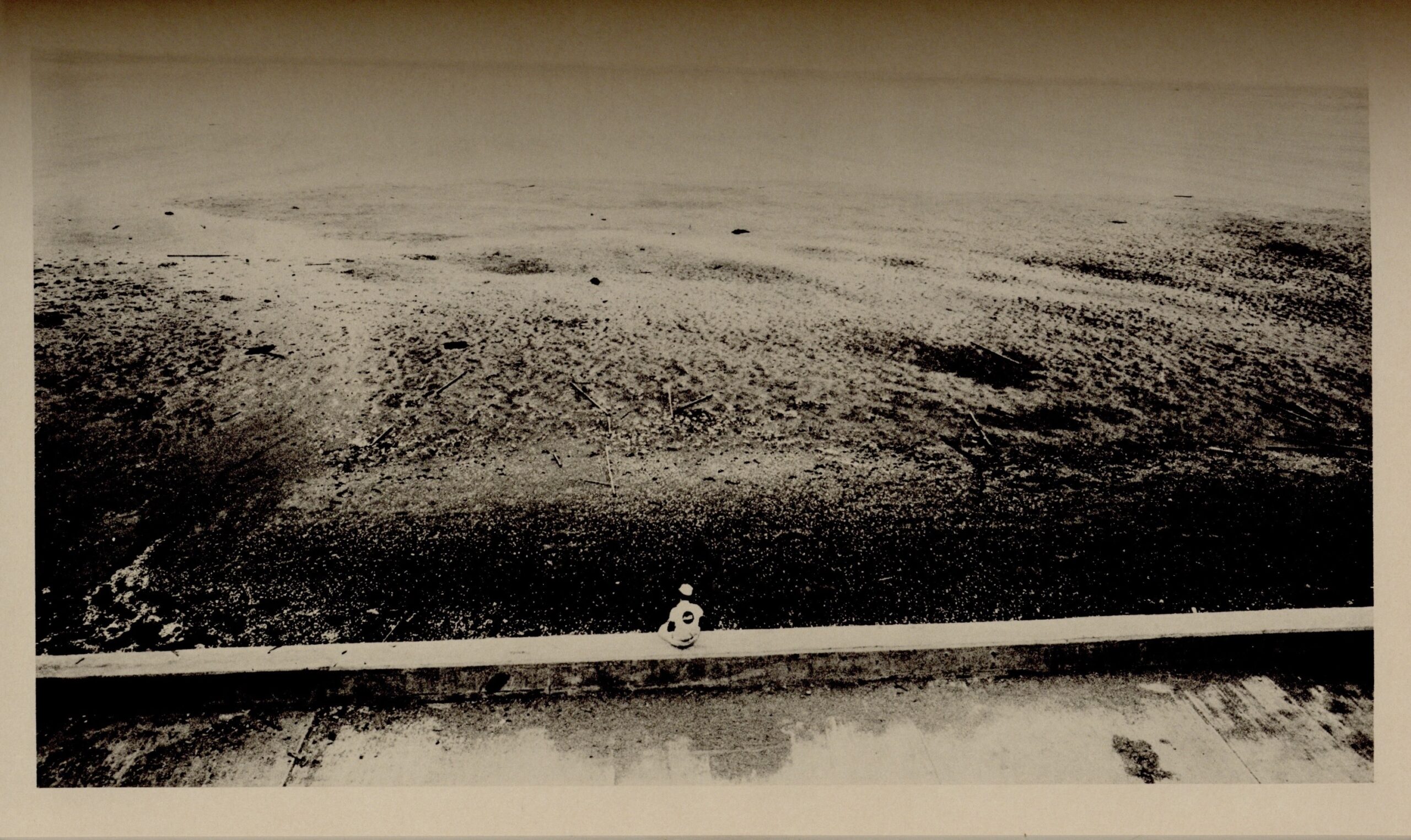 都市へ - 画像 (7)