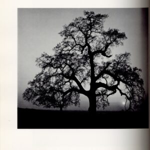 The Portfolios of Ansel Adams - 画像 (4)
