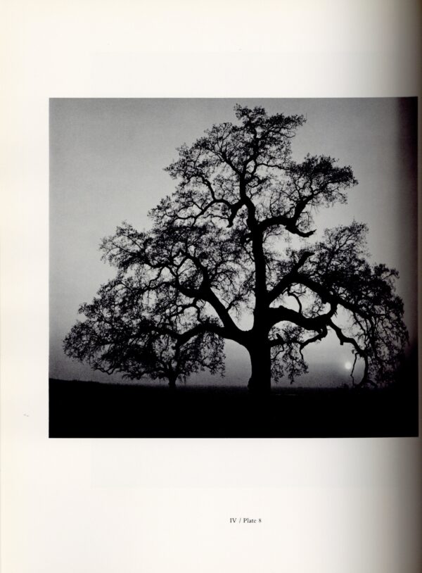 The Portfolios of Ansel Adams