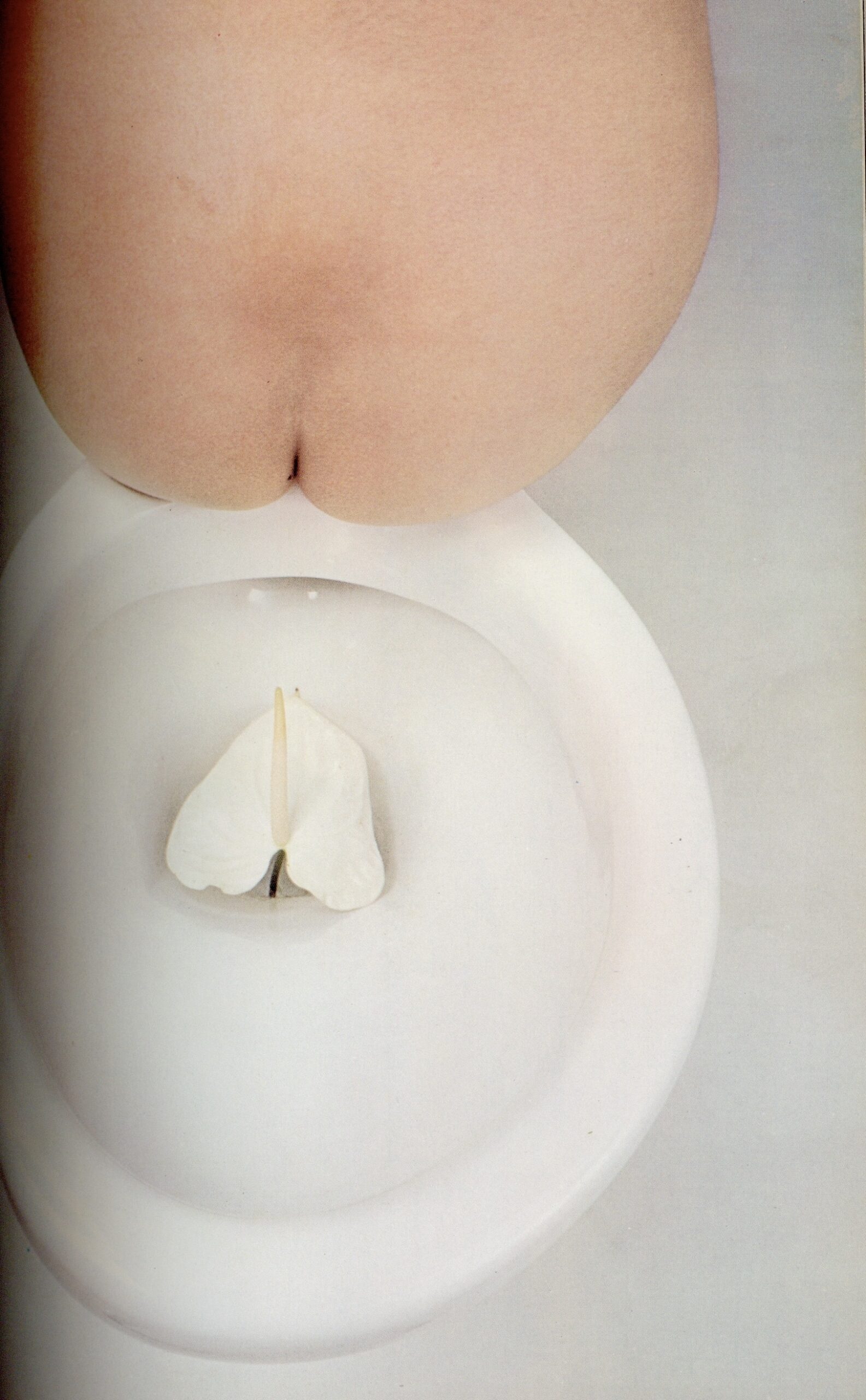 血と薔薇　2号 - 画像 (4)