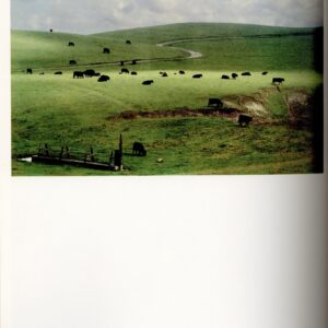 The Photographer's Cookbook - 画像 (4)