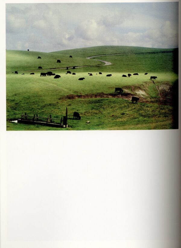 The Photographer's Cookbook