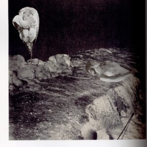 フォトコラージュ　沈黙の奇蹟 - 画像 (4)