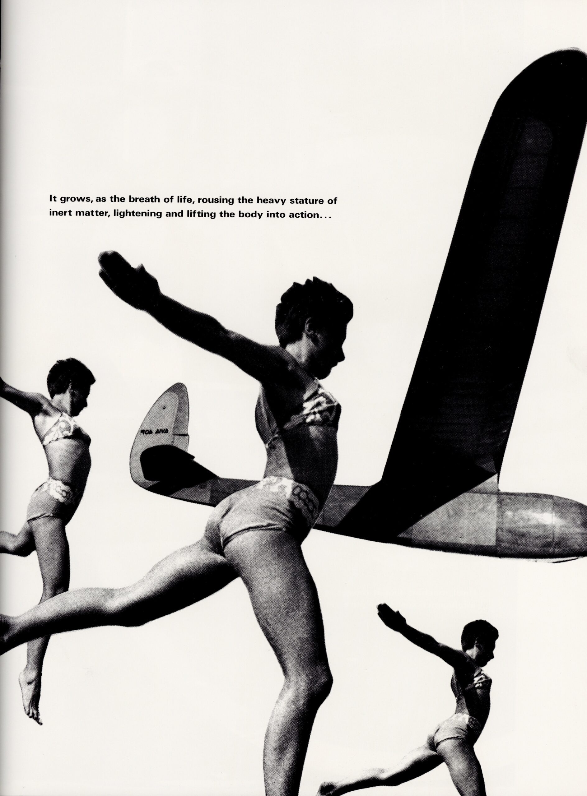 Comme des Garçons Six　3号 - 画像 (3)