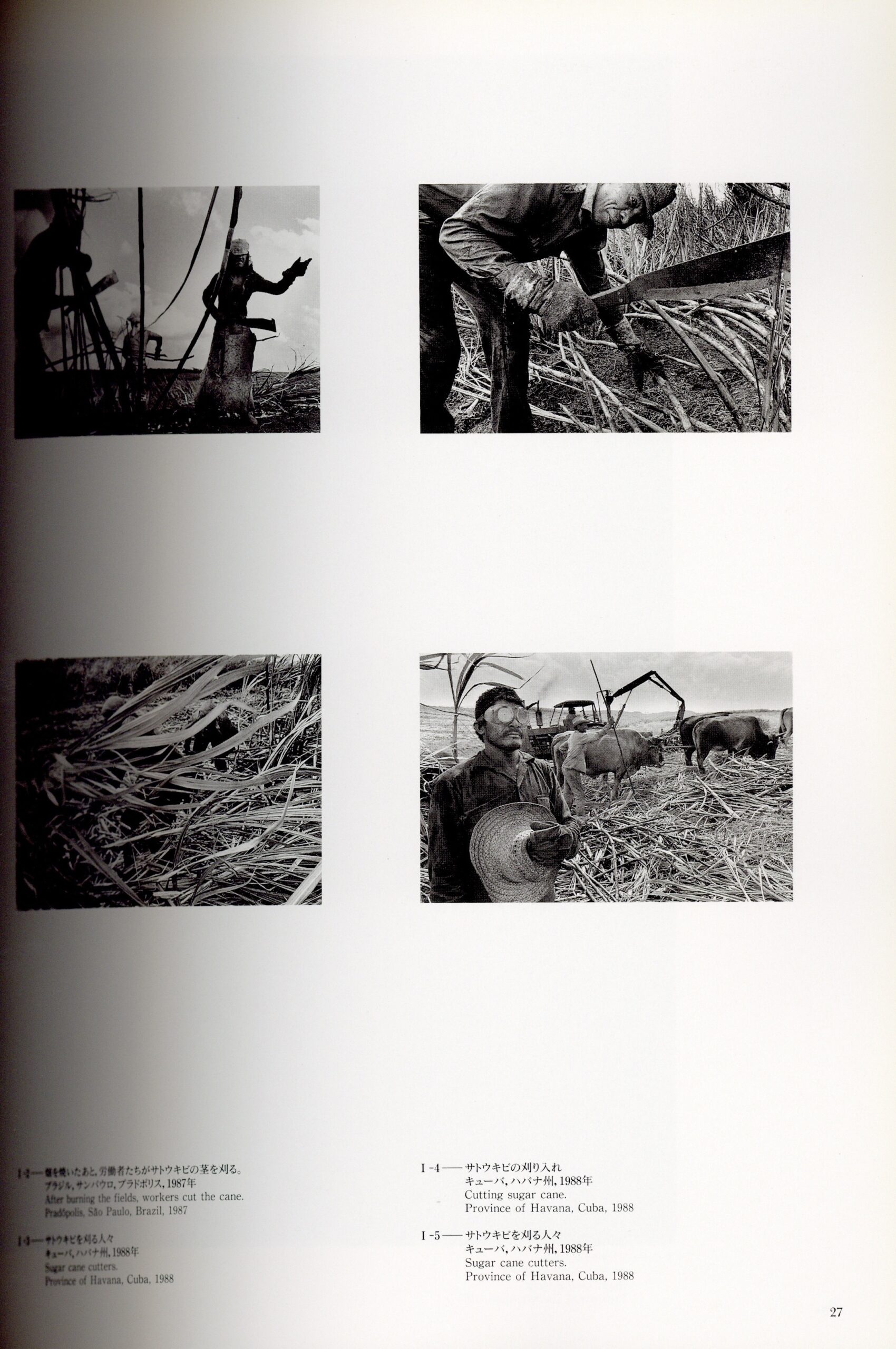 WORKERS - 画像 (2)