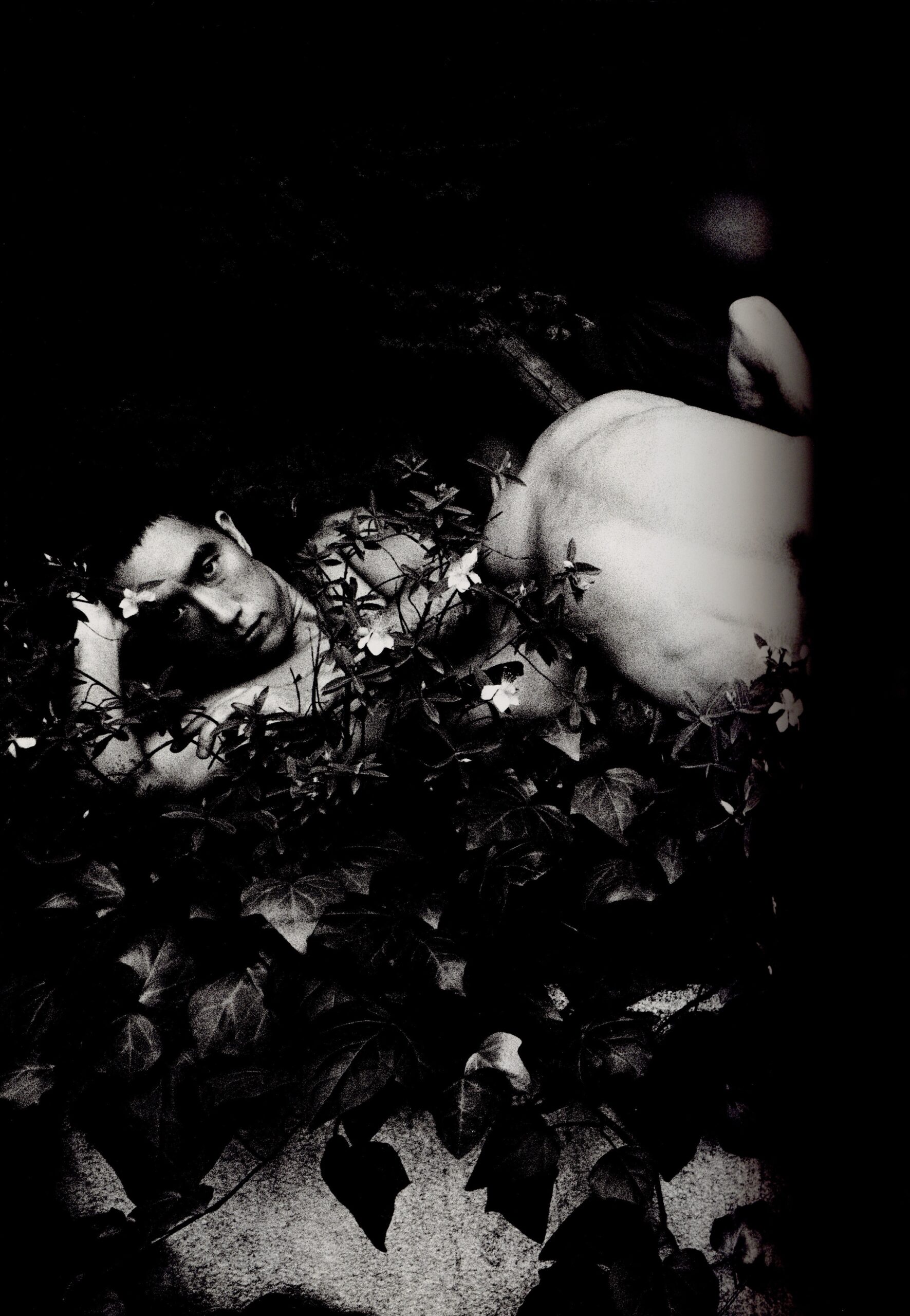 薔薇刑　新版 - 画像 (3)