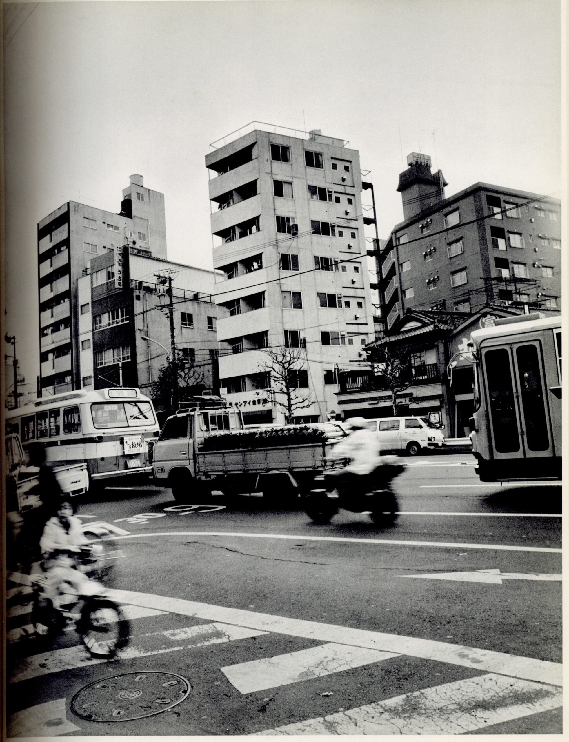 美登利 - 画像 (5)