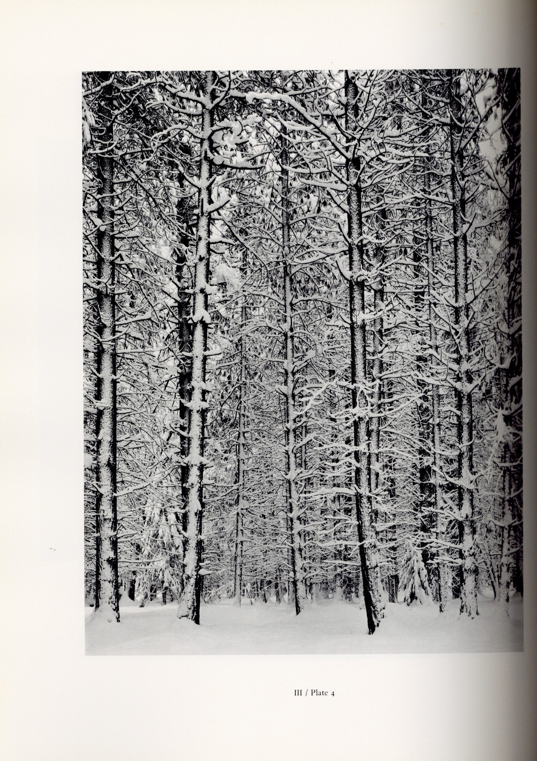 The Portfolios of Ansel Adams - 画像 (3)
