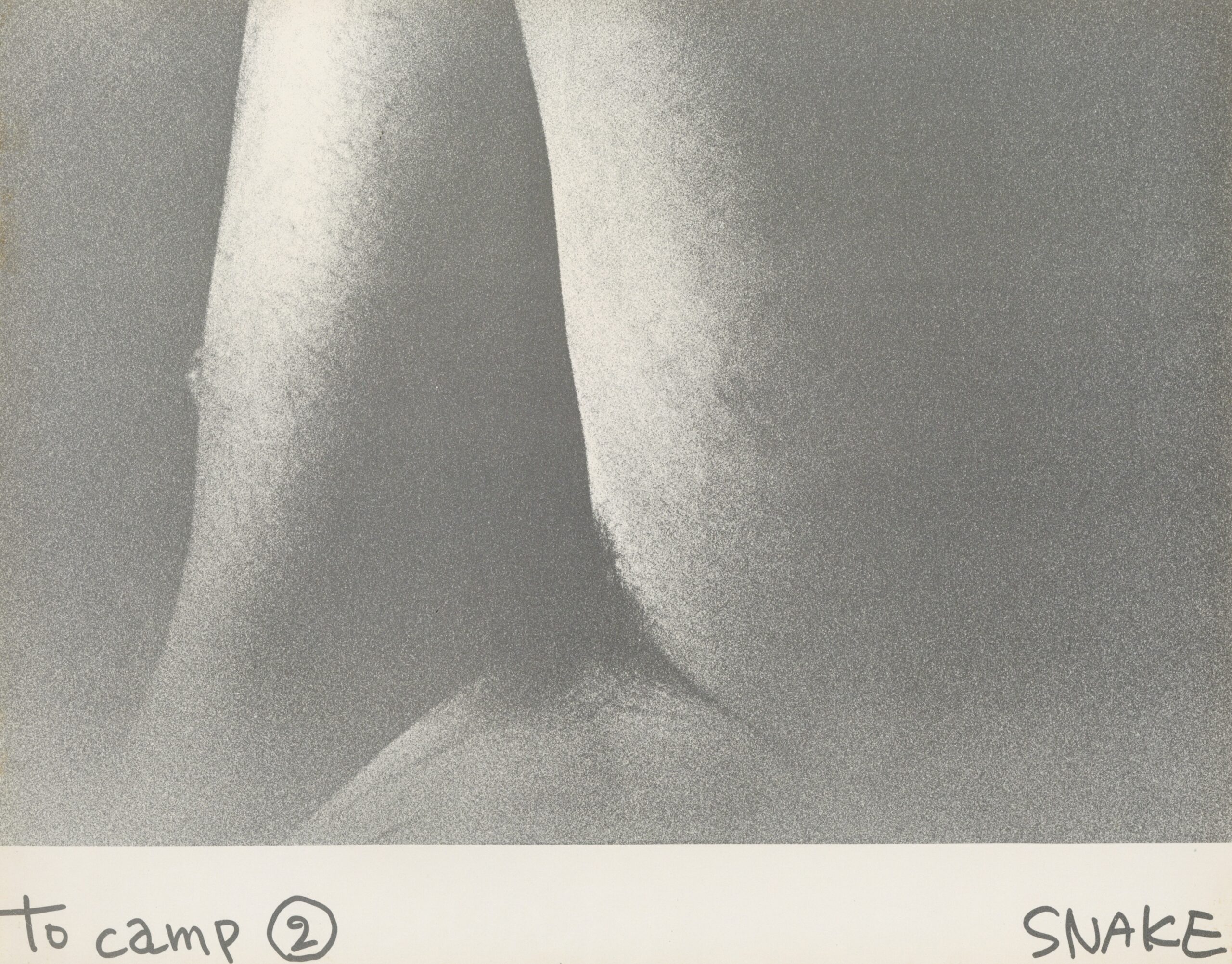 to camp 5冊揃 - 画像 (2)